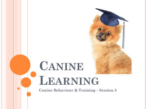 Canine Learning - Session 3