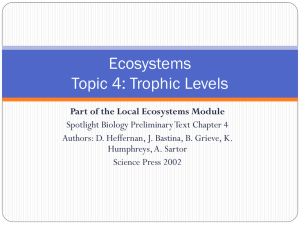 Ecosystems Topic 4: Trophic Levels - Wikispaces