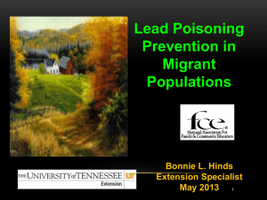 Lead Poisoning Powerpoint - Tennessee Opportunity Programs