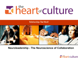 Neuroleadership - The Neuroscience of Collaboration