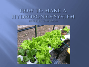 hydroponics systems powerpoint comp