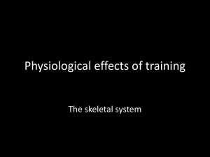 Physiological response to training - skeletal
