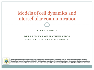 modeling cells - The Department of Mathematics at Colorado