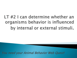 Get out your Animal Behavior WebQuest for LT #2