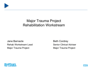 Rehabilitation workshop workstream overview