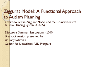 Ziggurat Model: A Functional Approach to Autism
