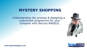 THE MYSTERY SHOPPING PROCESS
