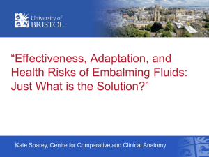 Effectiveness, Adaptation, and Health Risks of Embalming Fluids