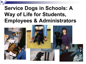 Service Dogs in Schools