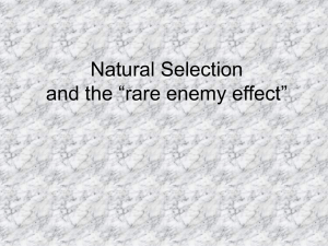Natural Selection and the “rare enemy effect”