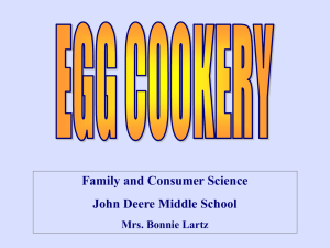 Egg Cookery Presentation