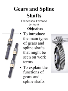 Gears and Spline Shafts Francesca Ferzoco 20196585