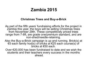 Zambia 2015 Christmas Trees and Buy-a