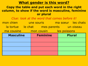 French Adjective Powerpoint