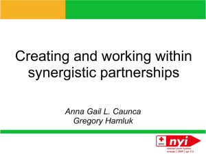 Synergistic Partnerships - American Red Cross Youth