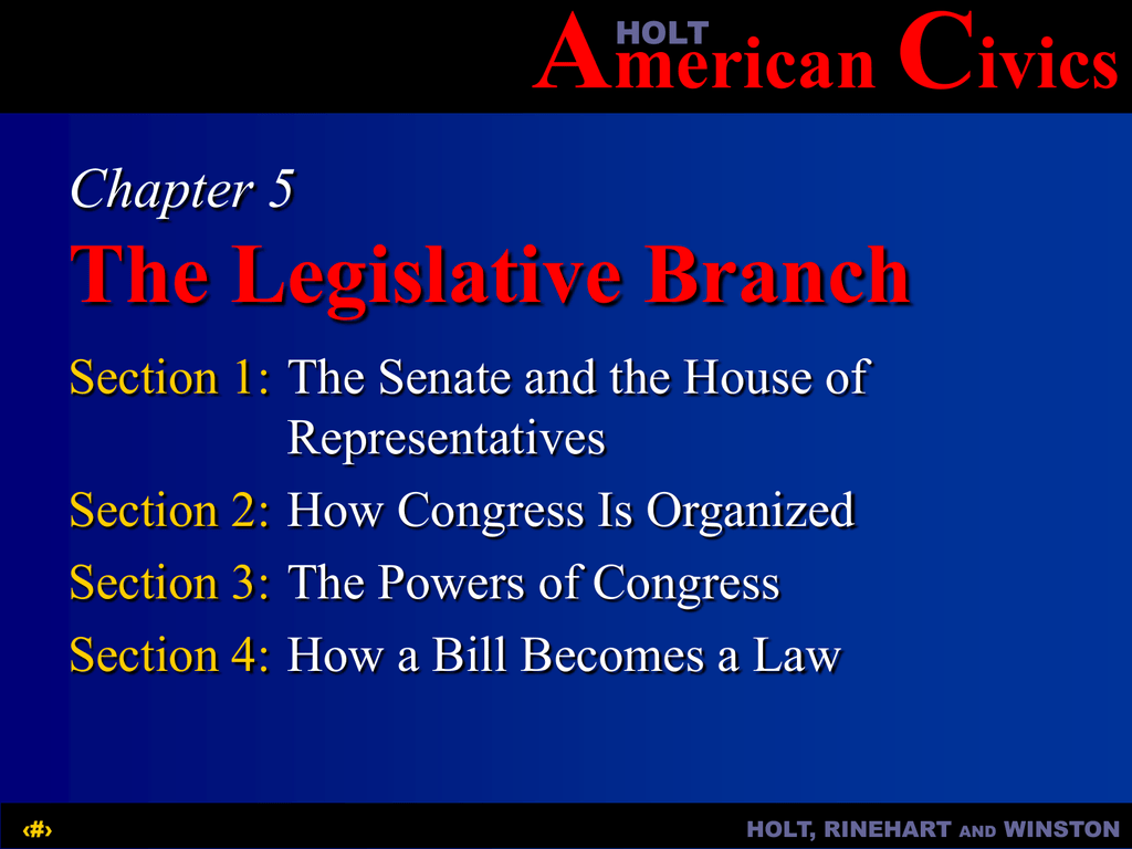 How is the legislative branch organized?