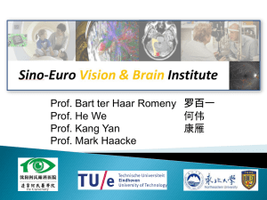 Vision and Brain 视觉和脑