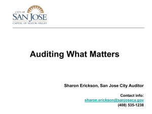 Auditing_What_Matters_1-27