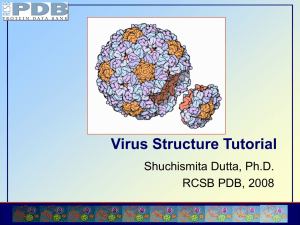 Building 3-D Virus Structures