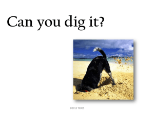Can You Dig It Presentation