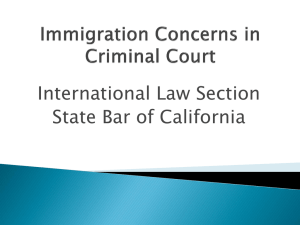 Immigration Concerns in Criminal Court, 2013