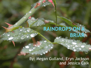 Raindrops on a Briar 1A