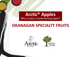 Joel Brooks, Okanagan Specialty Fruits