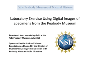 Laboratory Exercise - Yale Peabody Museum of Natural History