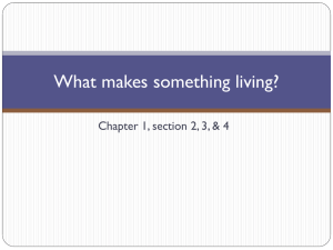 What makes something living LS - YCLifeScience2011-2012