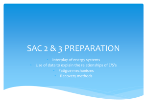 SAC 2 & 3 PREPARATION
