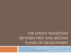 The child*s transition between first and second Planes of development