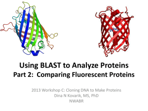 Using BLAST to Analyze Fluorescent Proteins