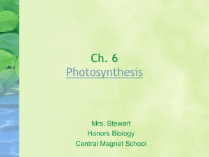 Ch. 6 - photosynthesis - Central Magnet School