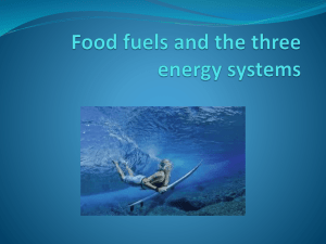 Chapter 5 Food fuels and the three energy systems