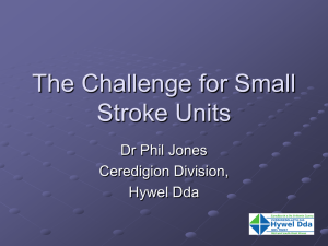 Phil Jones The Challenge for Small Stroke Units.pp