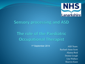 The role of the Paediatric Occupational Therapist