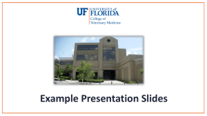 Example PowerPoint Presentation – Wide Screen