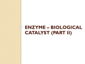 Enzyme – Biological Catalyst (Part ii)