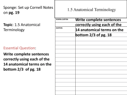 Printables Anatomical Terminology Worksheet anatomical terminology worksheet tchs chapter 1 5 terminology