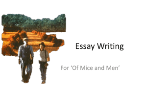 Essay Writing continued powerpoint