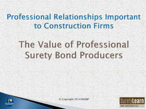 Who Are Professional Surety Bond Producers?