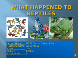 9_What Happened To Reptiles_6th_English