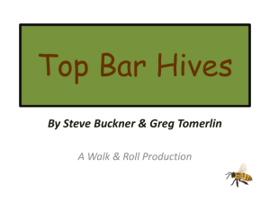 Top Bar Hives - Honey