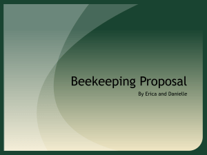 Bee Keeping Proposal