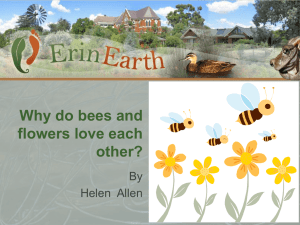 Why do bees and flowers love each other