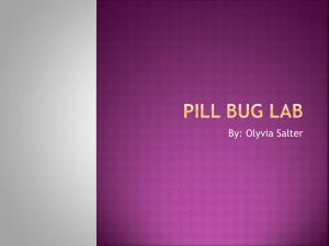 Pill Bug Lab Presentaion