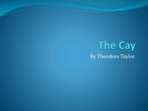 The Cay story elements powerpoint