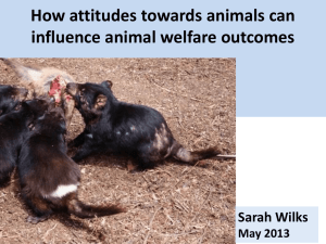 How attitudes towards animals can influence animal welfare outcomes