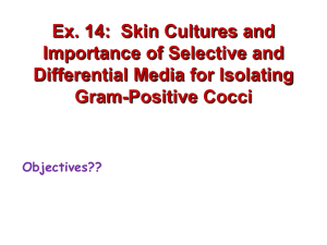 Ex. 13: Selective Media for Isolating Gram