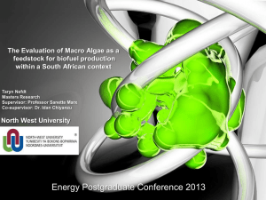 Nefdt_T - Energy Postgraduate Conference